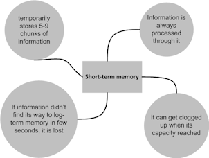 Figure 2. Key facts about short-term memory